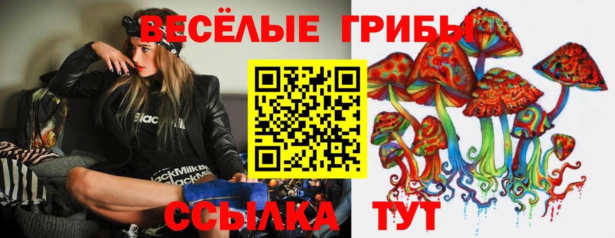 Псилоцибиновые грибы мухоморы  Вход с VPN  Новодвинск  Псилоцибиновые грибы MAGIC MUSHROOMS 