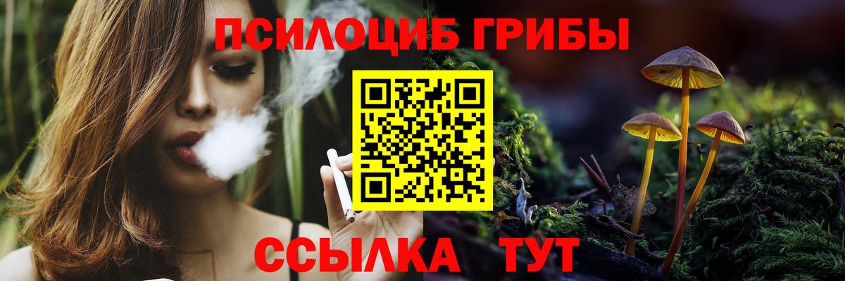 Псилоцибиновые грибы Cubensis Новодвинск